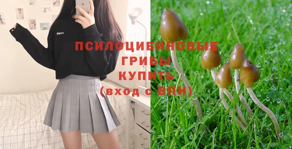 меф Нефтегорск