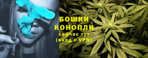 соль ск Нефтекумск
