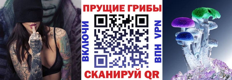 магазин продажи наркотиков  Ступино  Галлюциногенные грибы Cubensis 